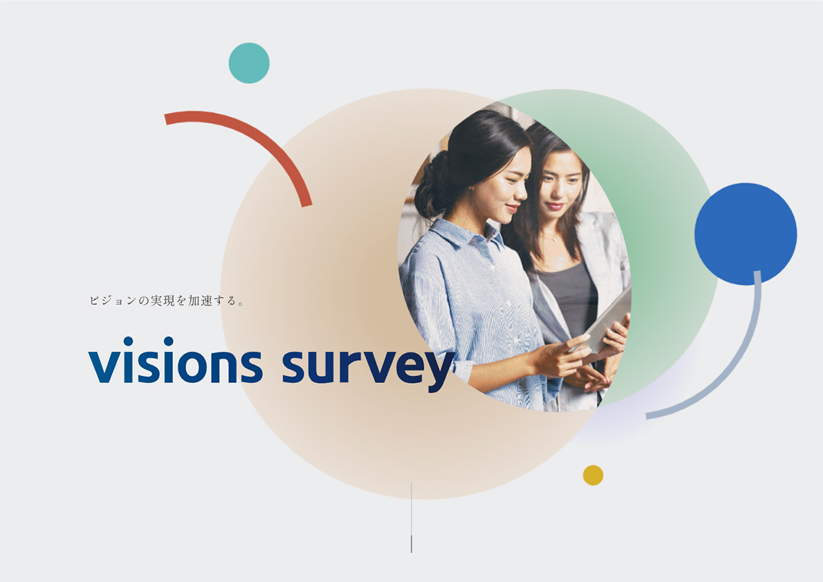 visions survey